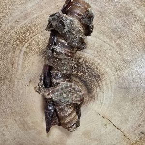 Tripe Wrapped Bully Tube