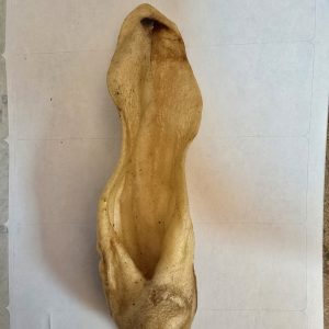 Lamb Ear