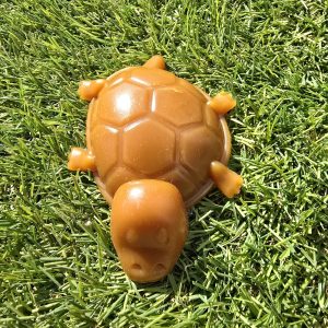 Vegetable & Peanut Butter Turtle Chew