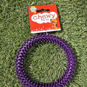 Ring Toy