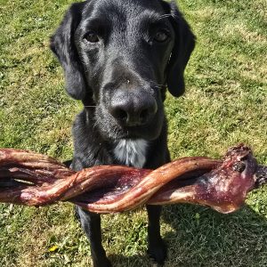 Twisted Pizzle