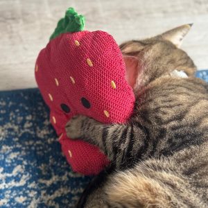 Strawberry Plush