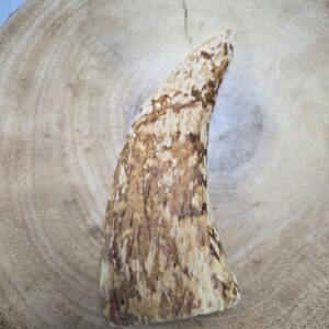 Cow Horn Marrow Large