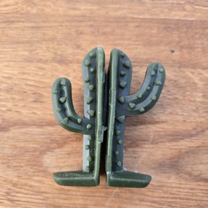 Cactus Veggie Treat
