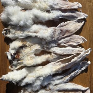 Hairy Rabbit Ears X10