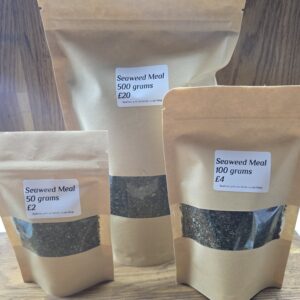 Seaweed Meal