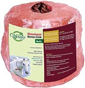 Himalayan Salt Lick 1kg