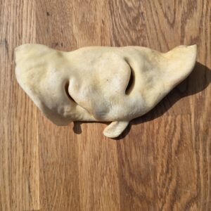 Bully snout