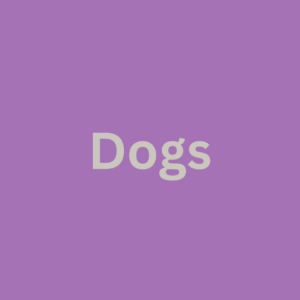 Dogs