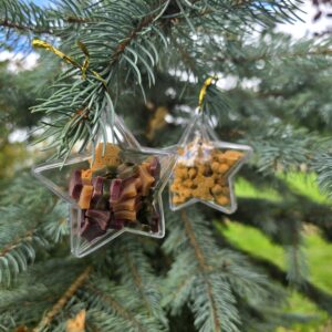 Treat filled Star Ornament